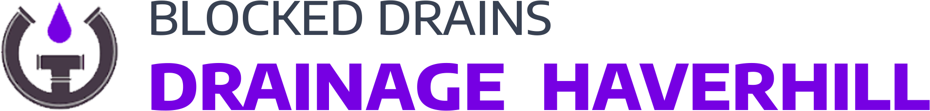 website logo